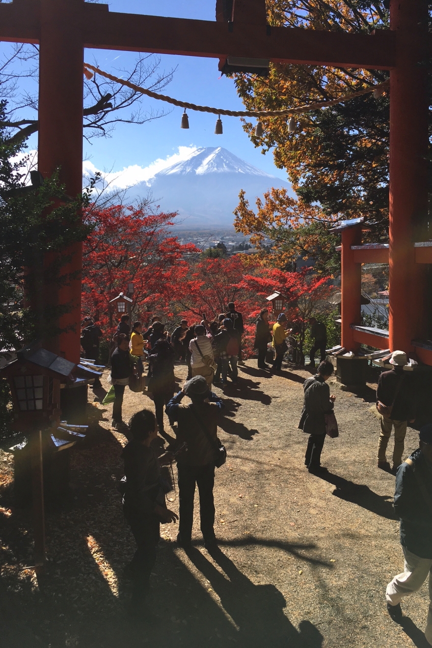 新倉富士浅間神社大鳥居からの富士山