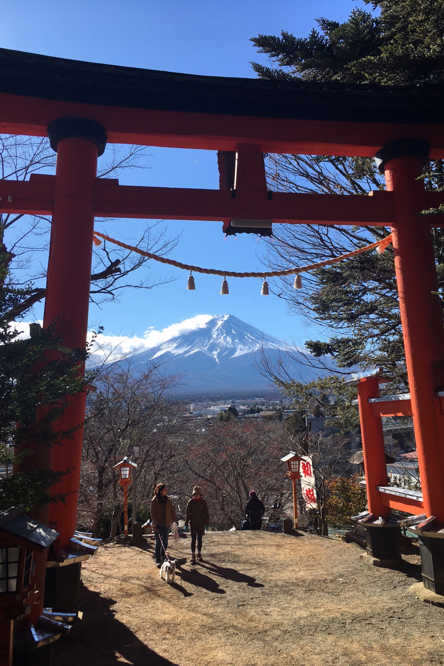 新倉富士浅間神社の大鳥居から見る富士山