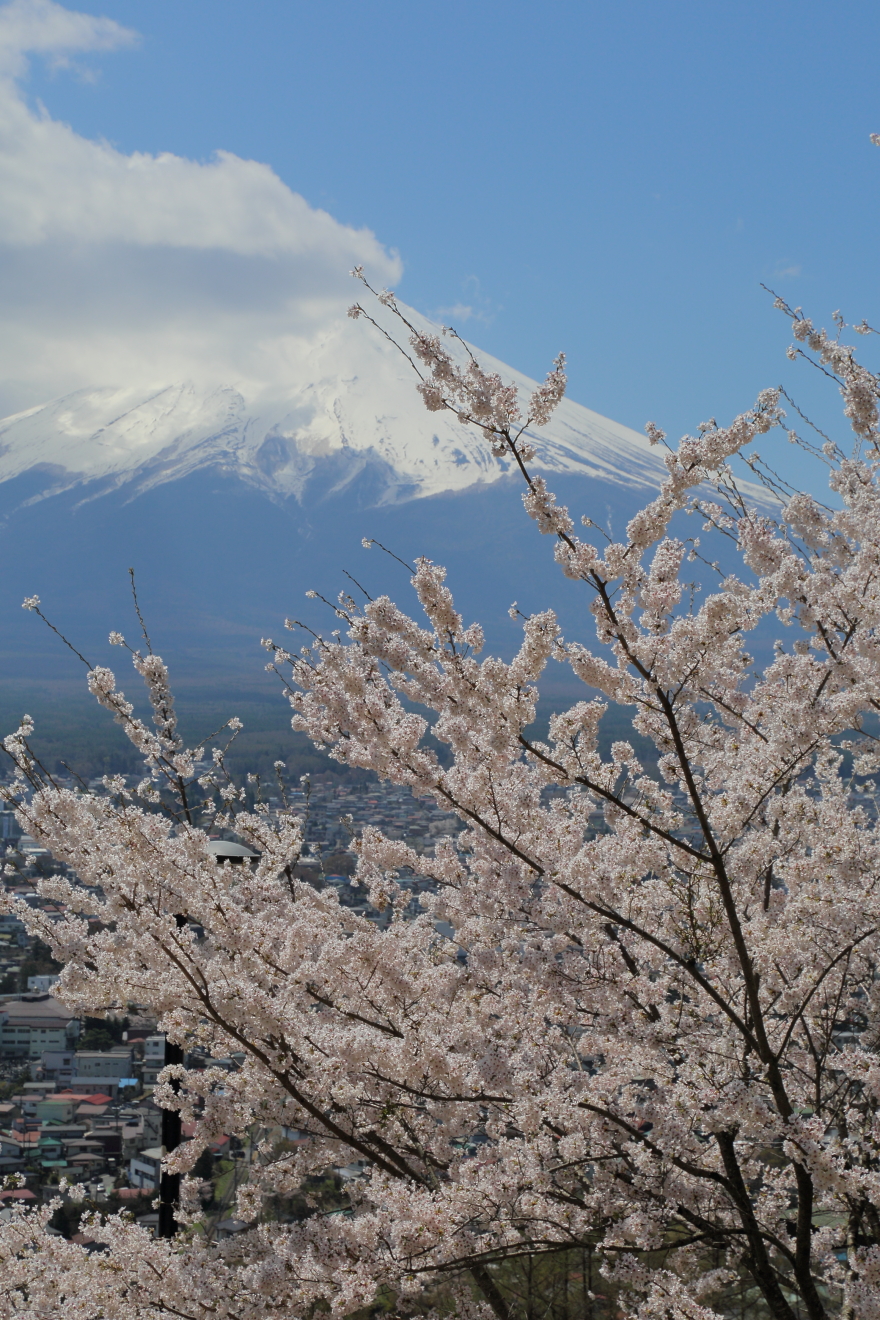 東屋上の散策路からの富士山