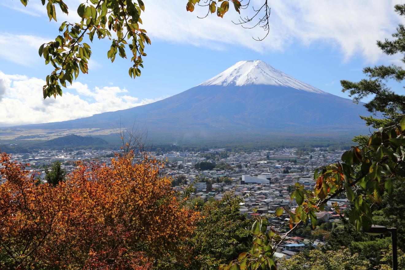 咲くや姫階段からの富士山