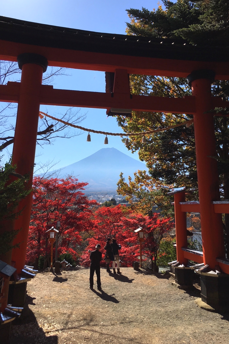 新倉富士浅間神社大鳥居から望む富士山