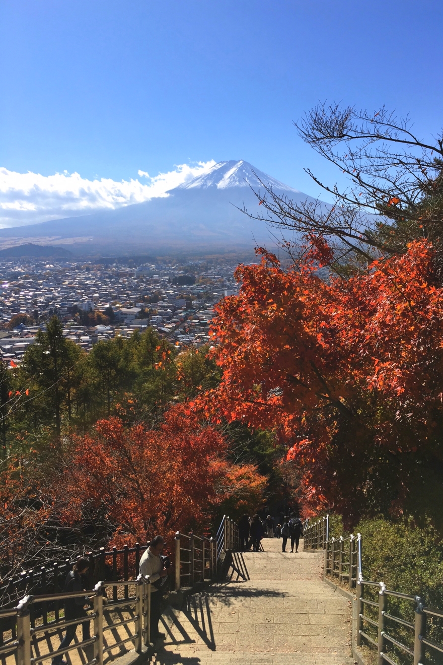 忠霊塔へ続く階段からの富士山