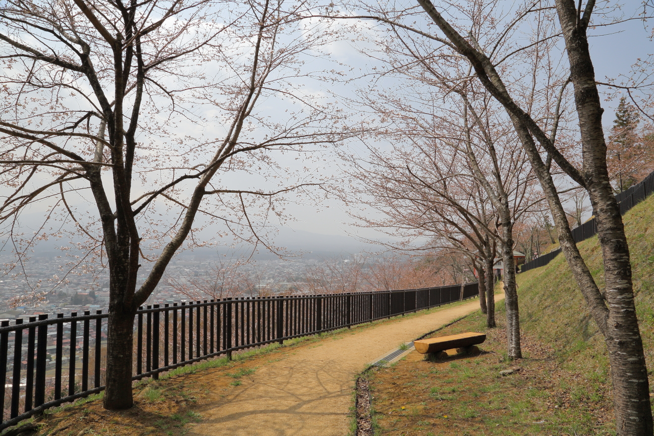 新倉山浅間公園の遊歩道