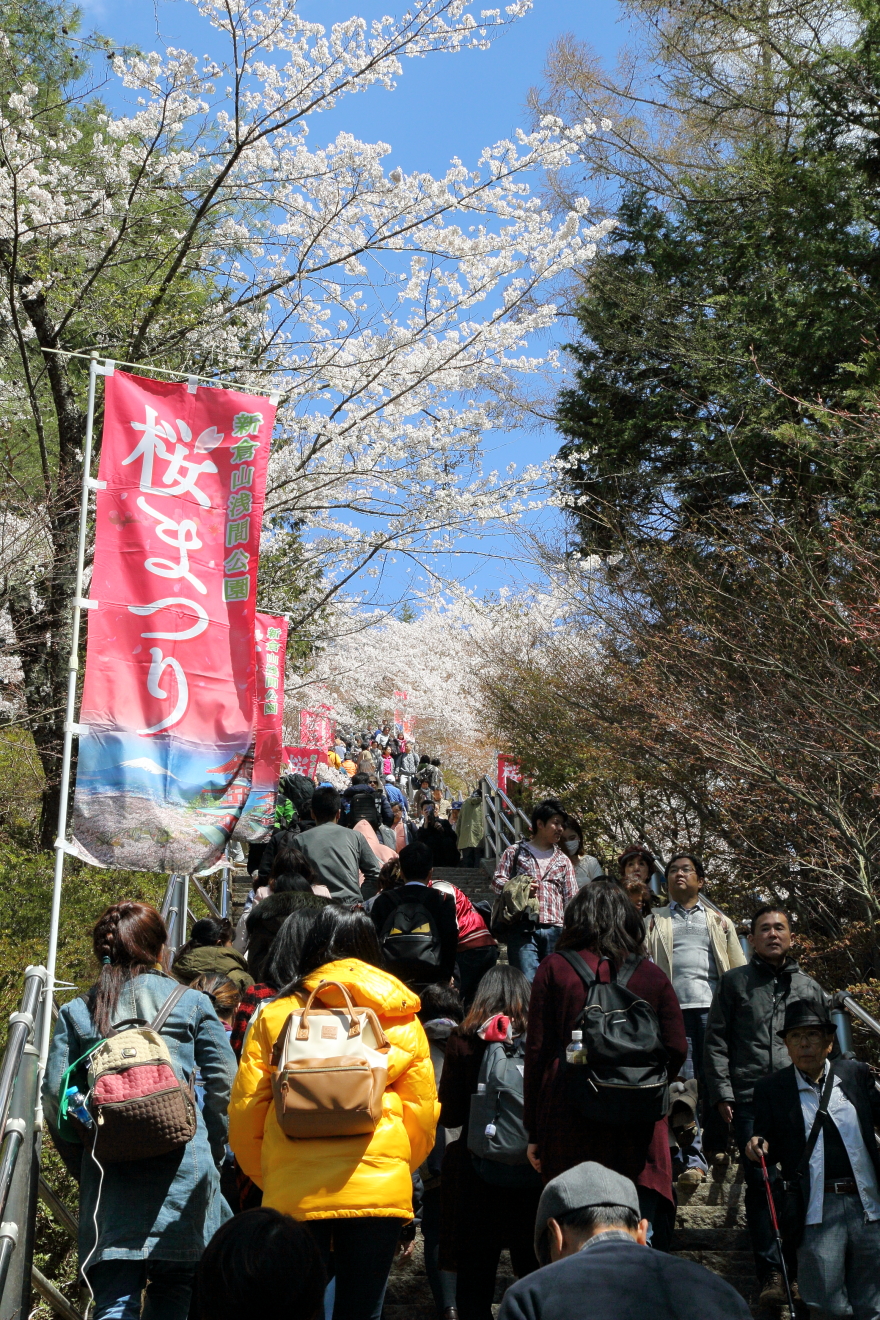 新倉山浅間公園桜まつり開催中の咲くや姫階段