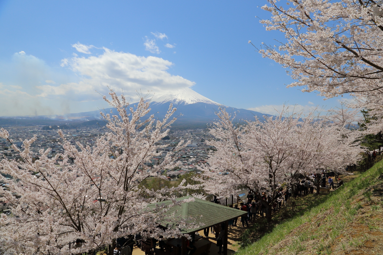 東屋上の散策路からの富士山