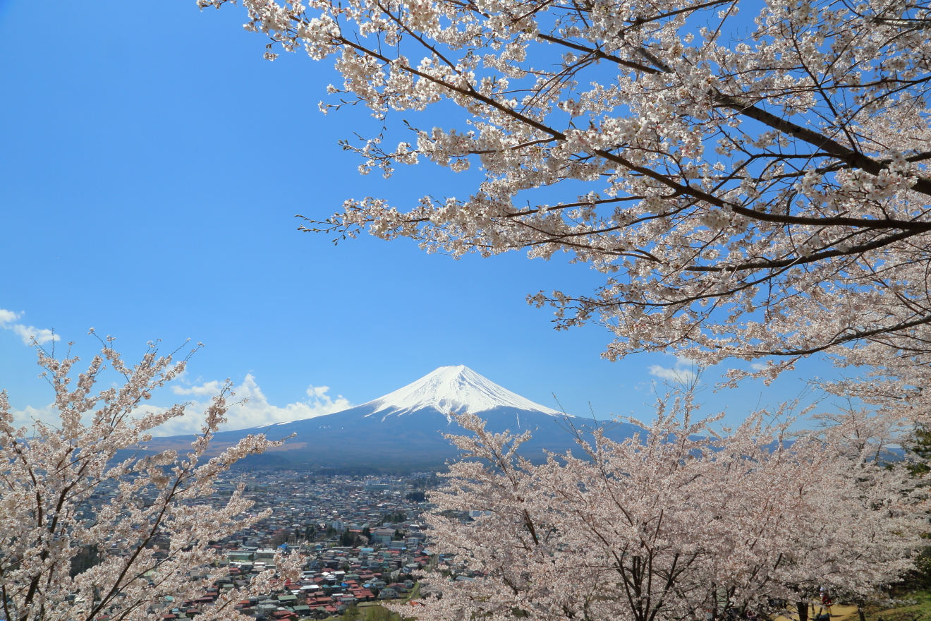 忠霊塔からの富士山