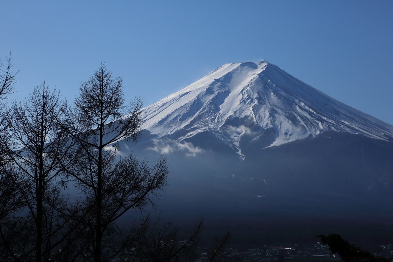 咲くや姫階段からの富士山