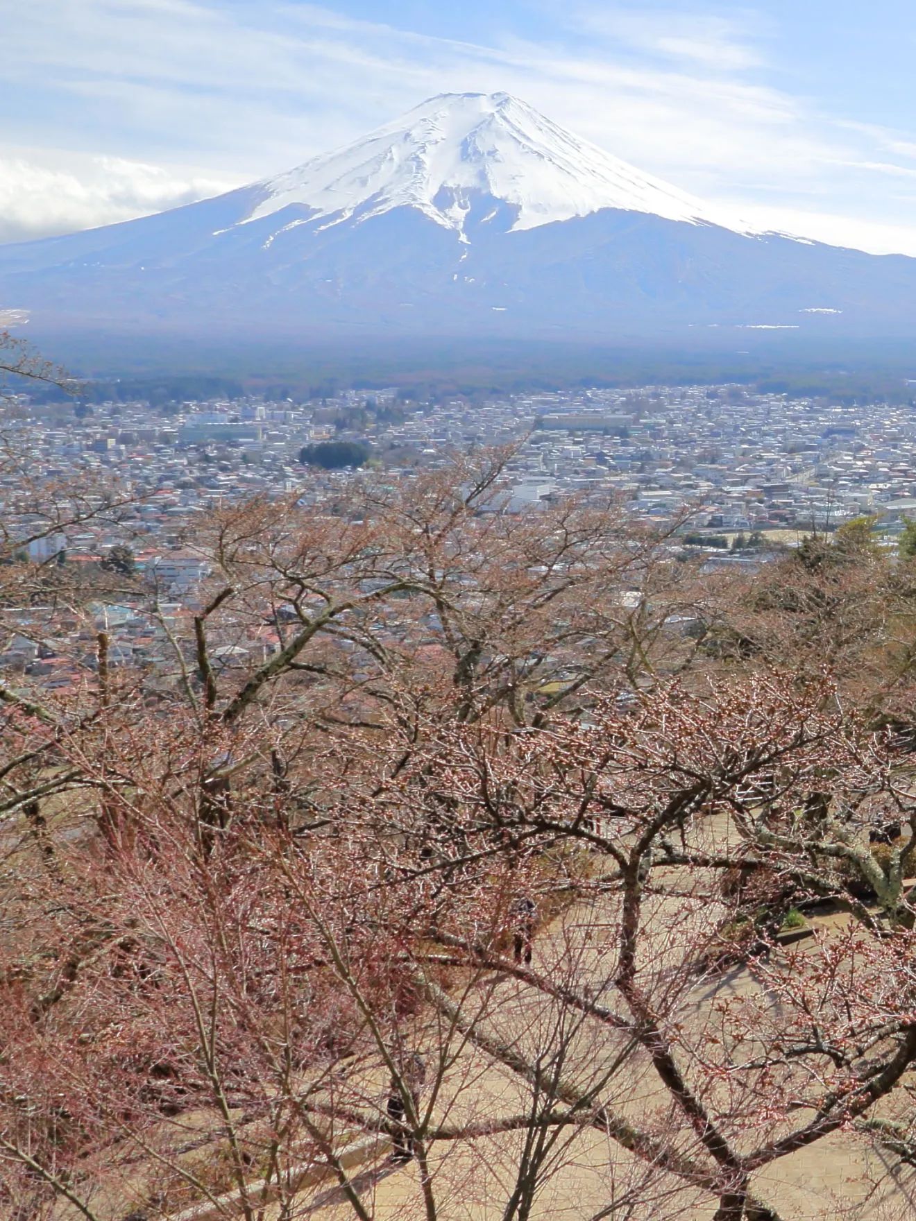 展望デッキからの富士山