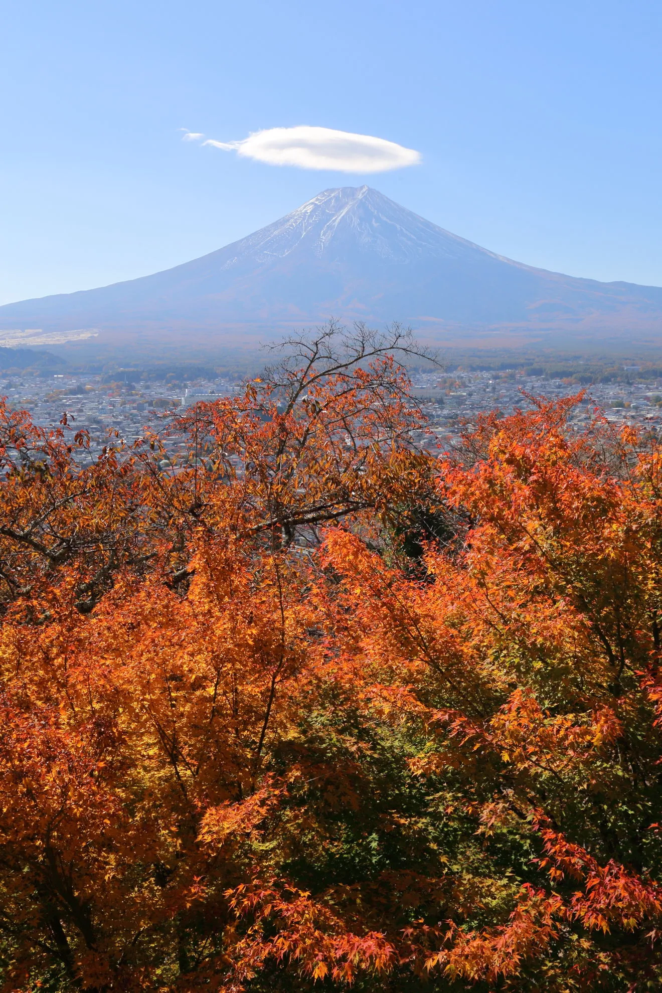 展望デッキからの富士山