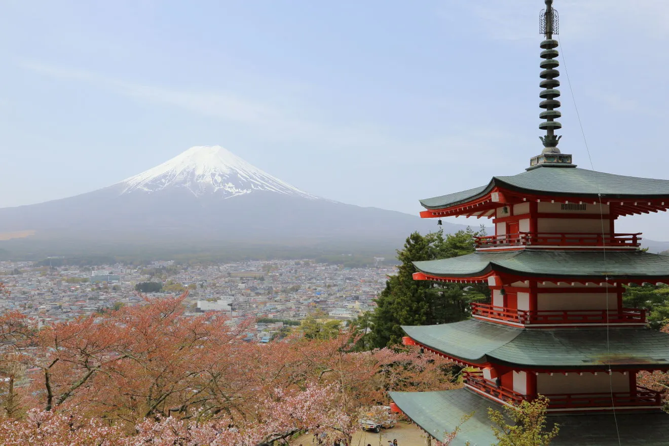 新倉山浅間公園からの富士山と桜と五重塔