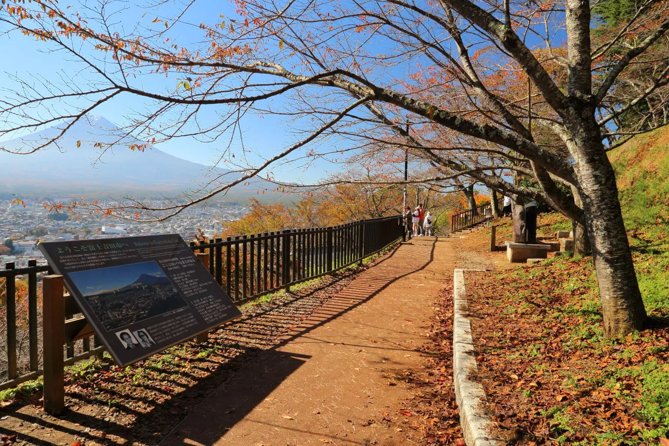 新倉山浅間公園の紅葉