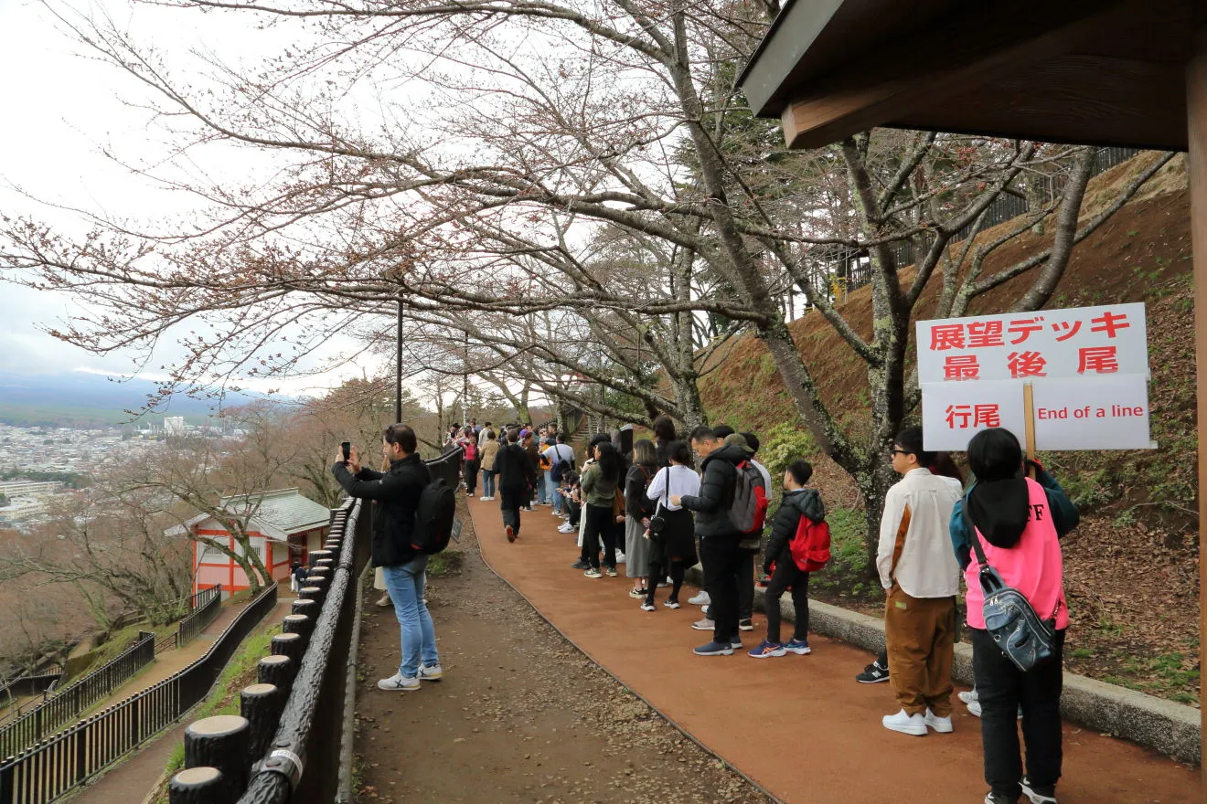 新倉山浅間公園の桜の様子