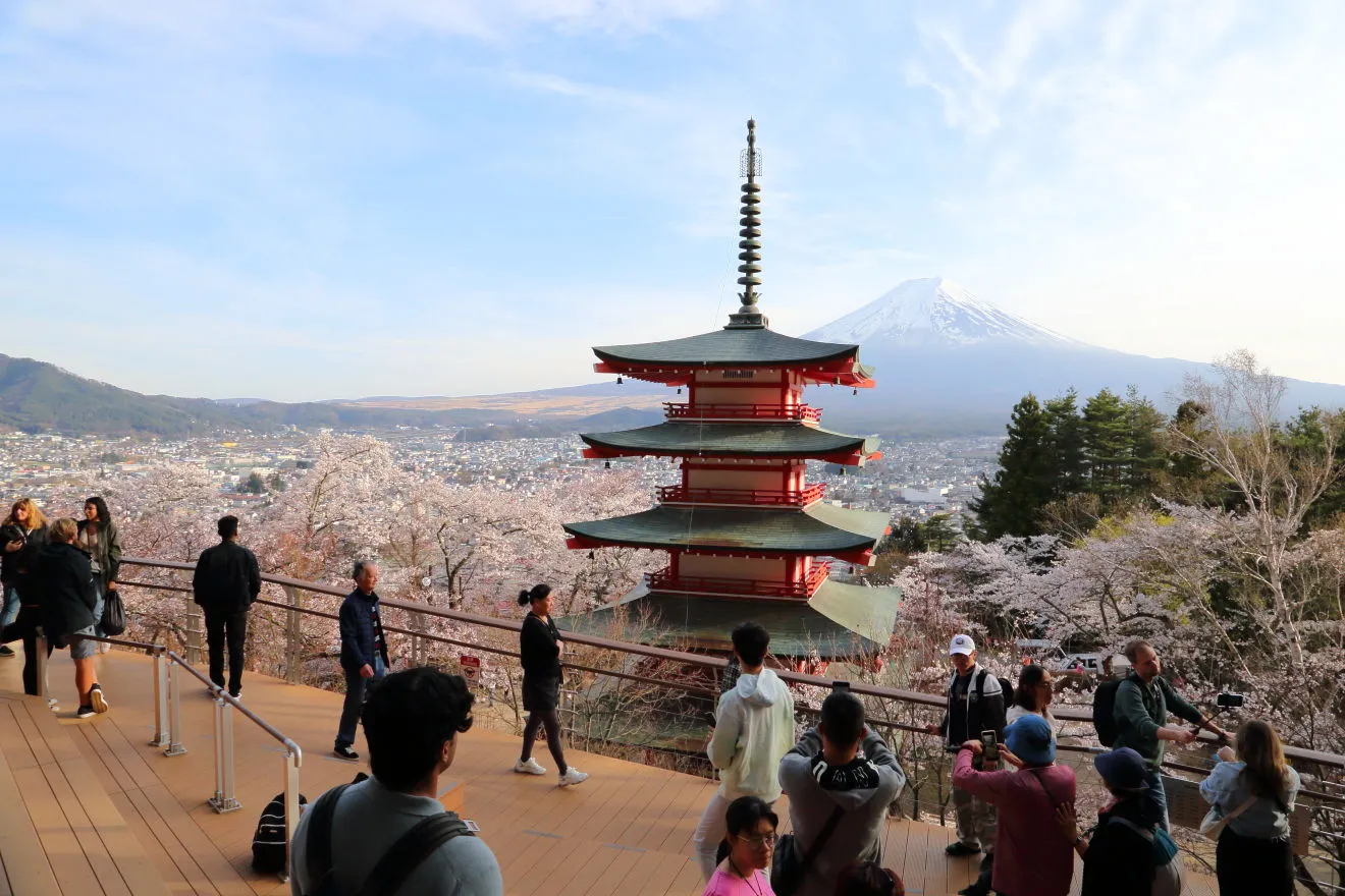 展望デッキから見た富士山と桜